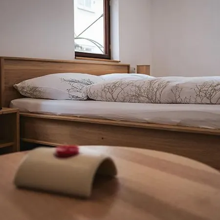 Goldener Zwinger 招待所 3*