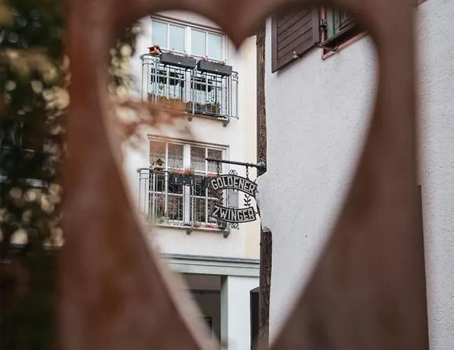 Goldener Zwinger Гостевой дом Майнинген